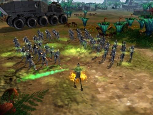 sw1.jpg